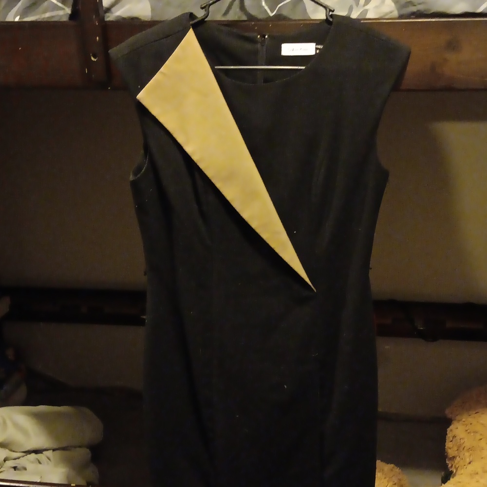 Calvin Klein Dress